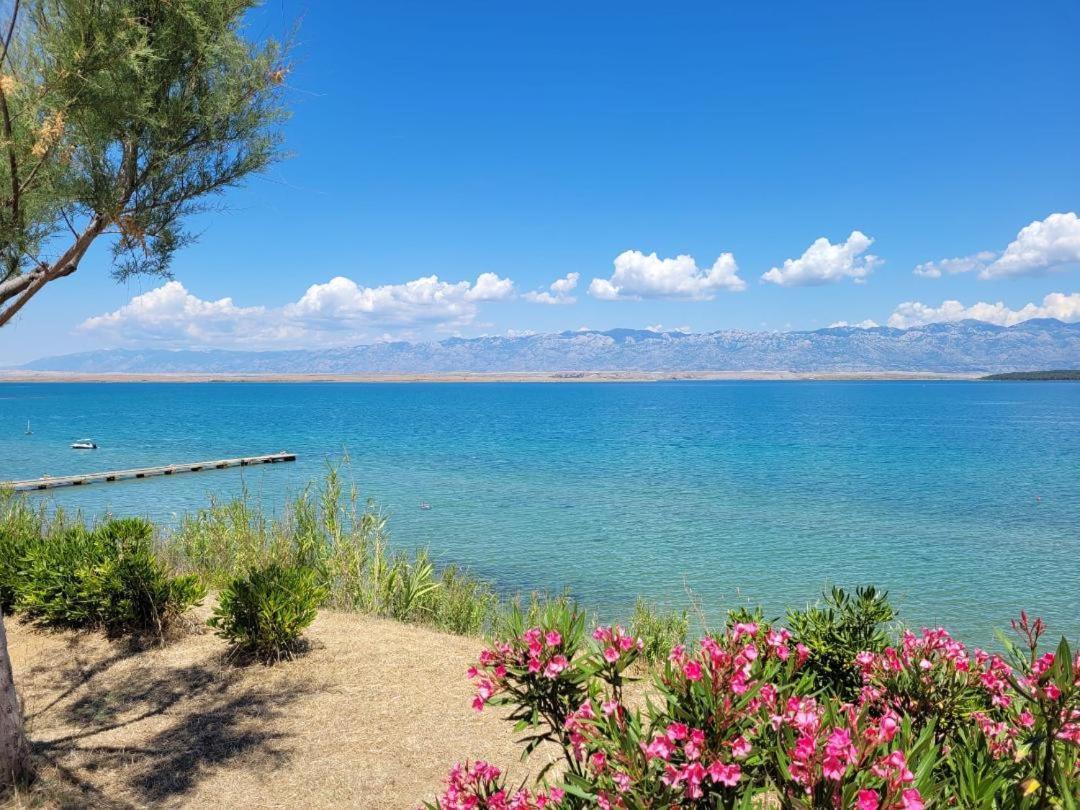 Apartman Apartment-villa Vesna